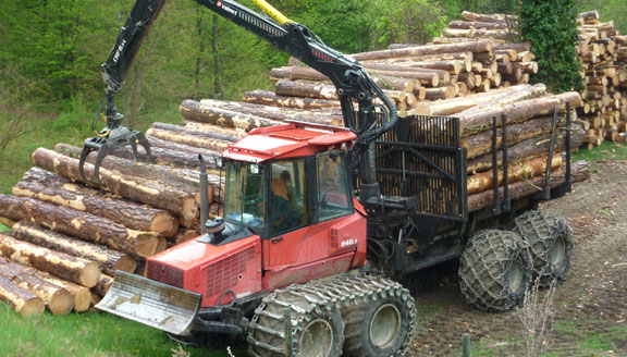 Holzhandel